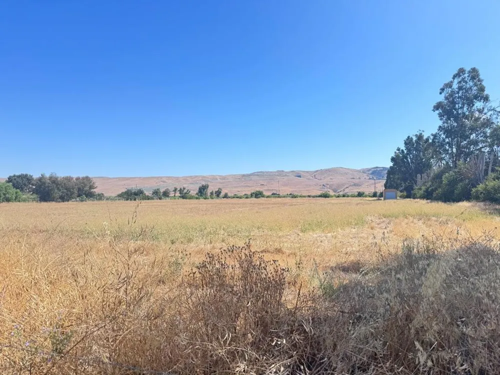10868 Dougherty Avenue Morgan Hill, CA 95037