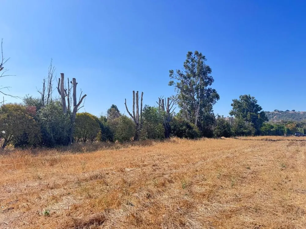 10868 Dougherty Avenue Morgan Hill, CA 95037