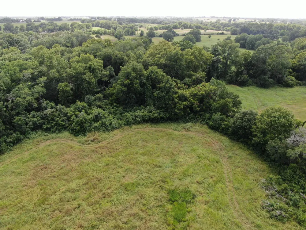 1399 Star Hill Road New Ulm, TX 78950