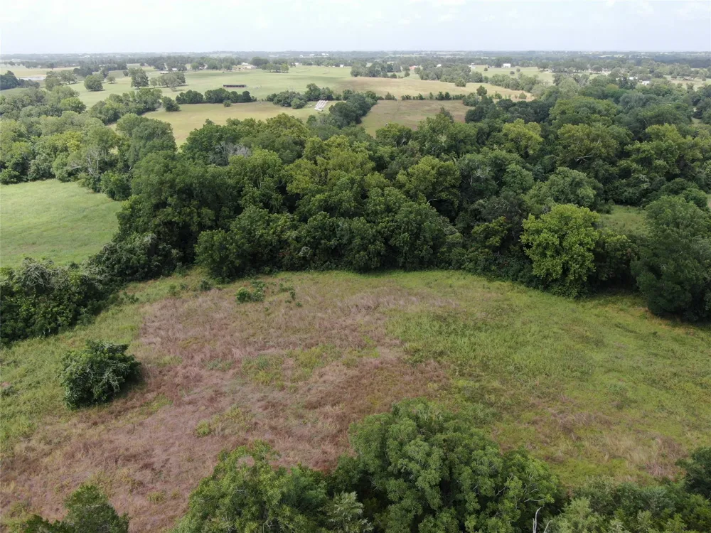 1399 Star Hill Road New Ulm, TX 78950