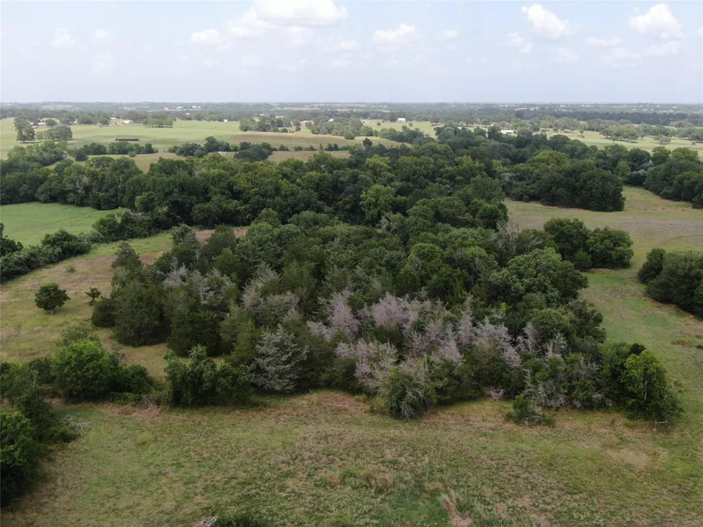 1399 Star Hill Road New Ulm, TX 78950
