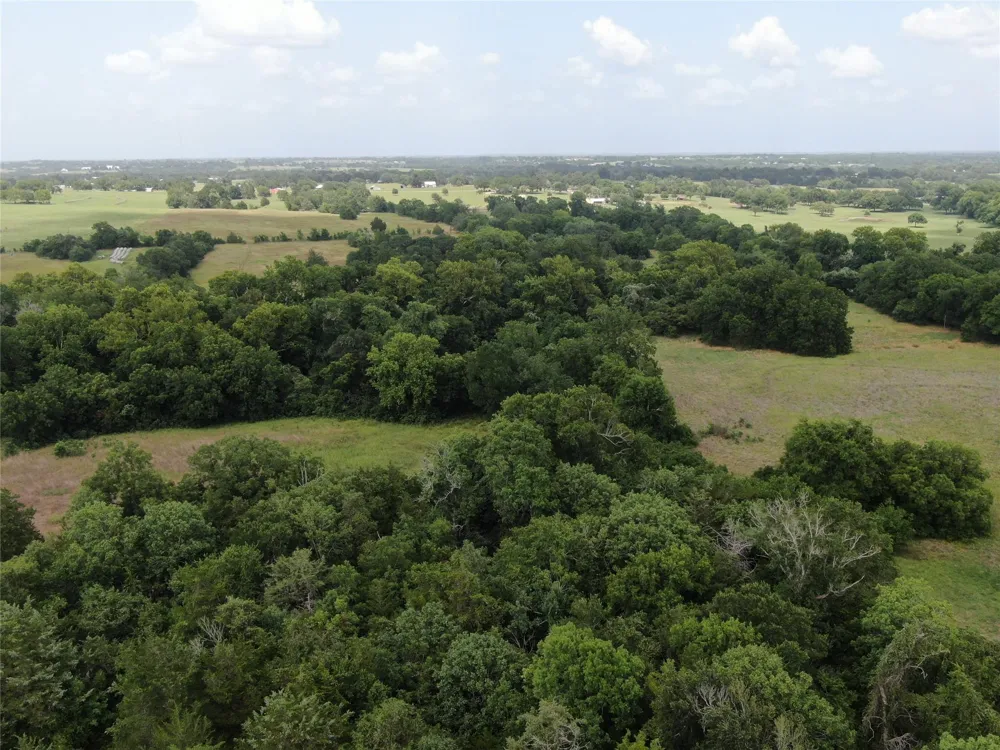 1399 Star Hill Road New Ulm, TX 78950