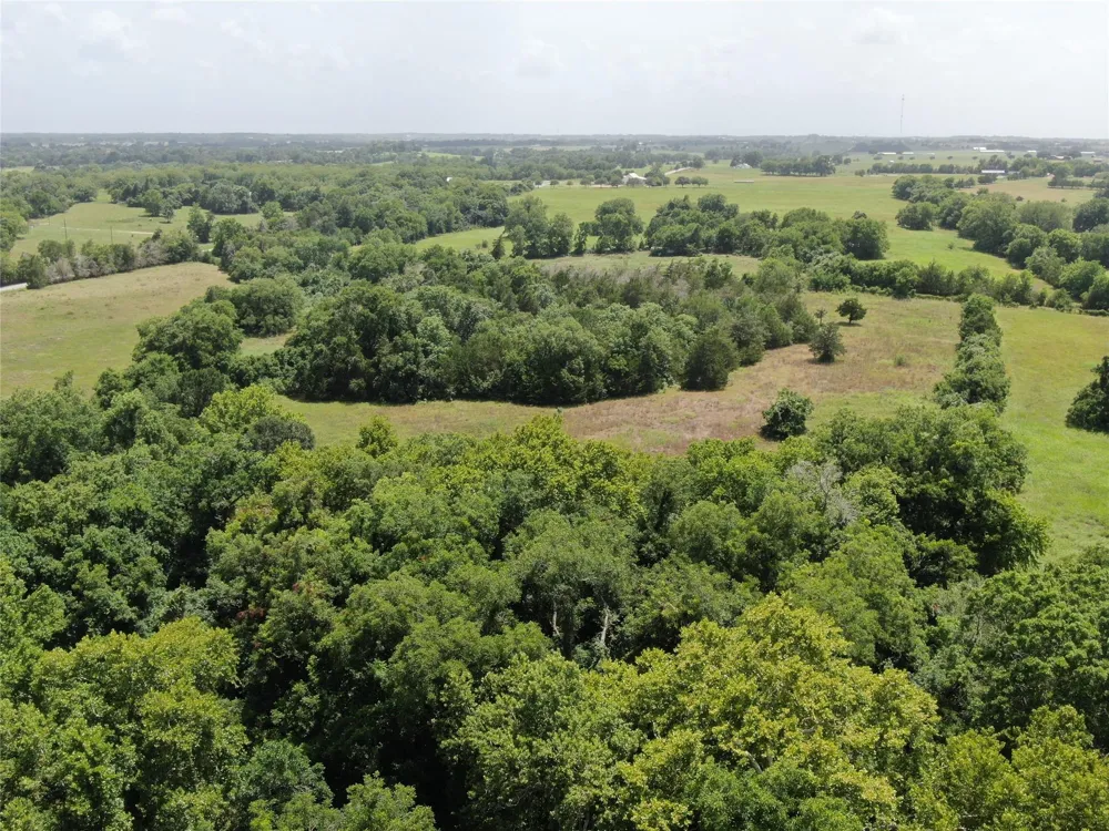 1399 Star Hill Road New Ulm, TX 78950