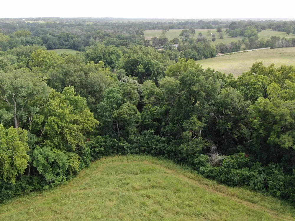 1399 Star Hill Road New Ulm, TX 78950