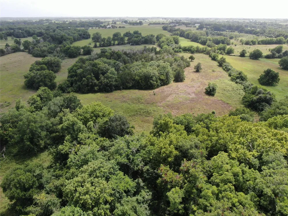 1399 Star Hill Road New Ulm, TX 78950