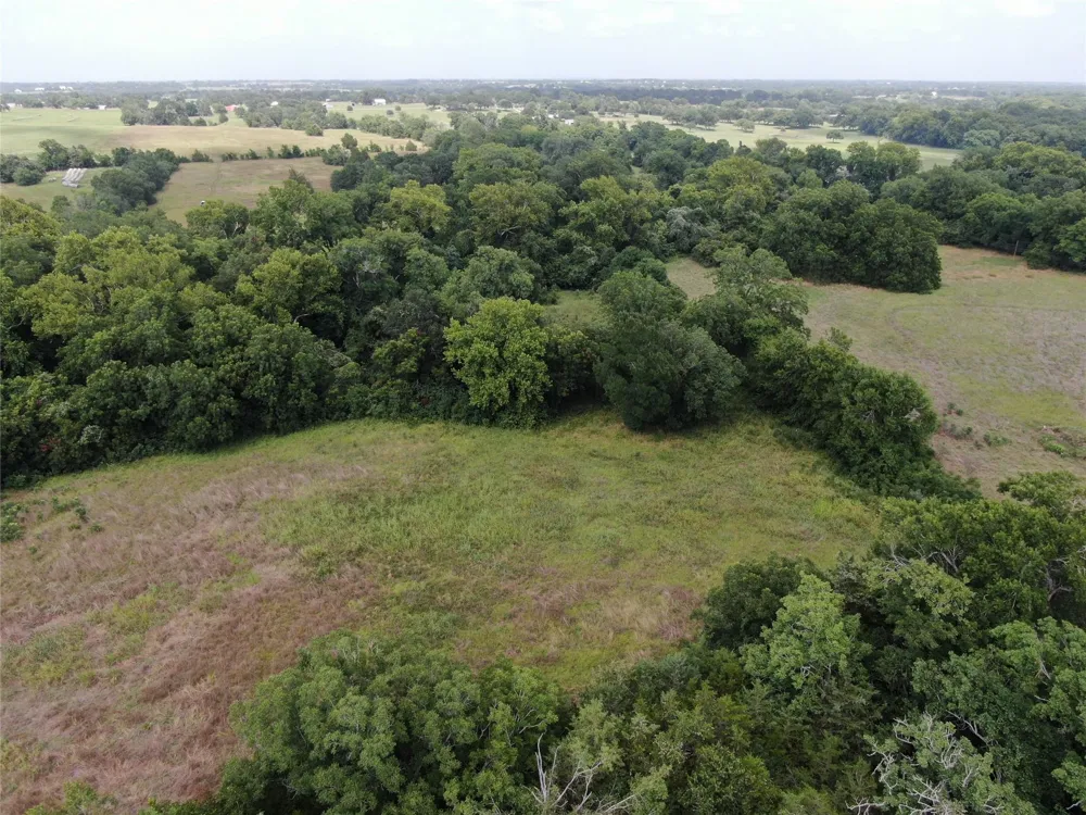 1399 Star Hill Road New Ulm, TX 78950