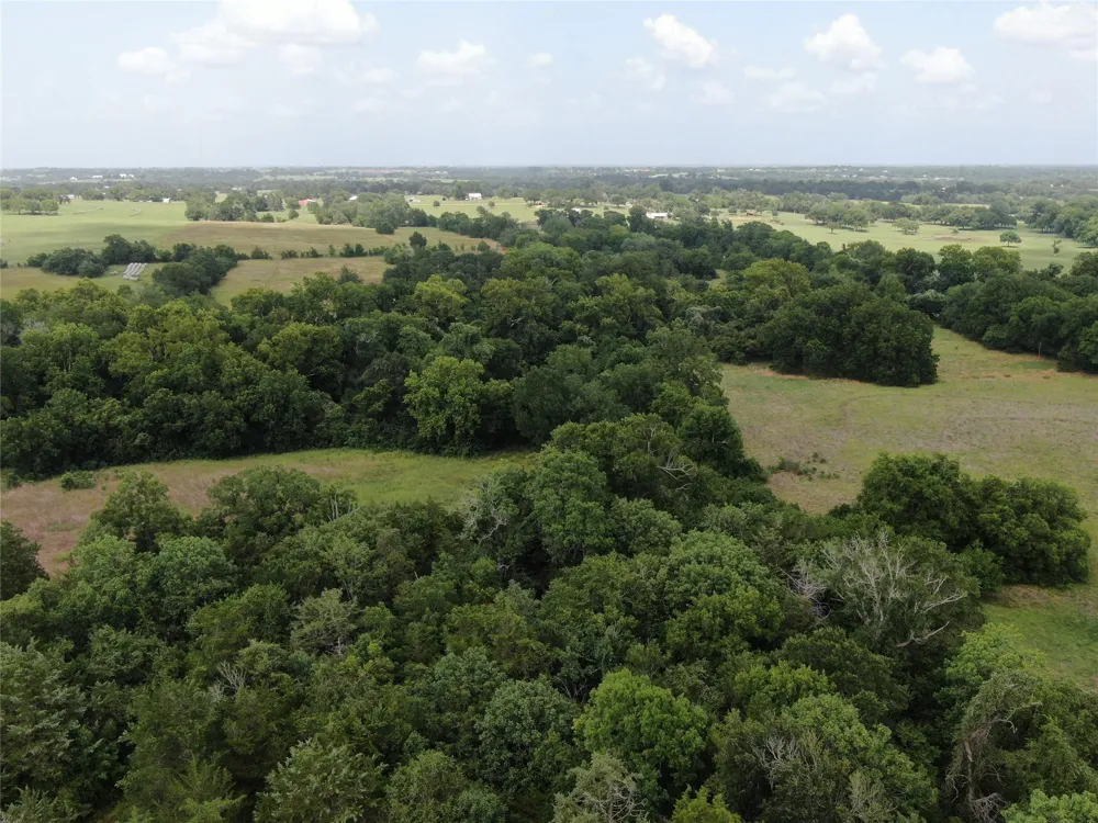 1399 Star Hill Road New Ulm, TX 78950