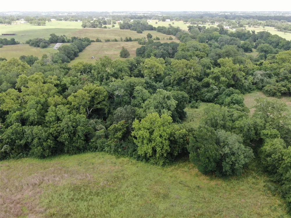 1399 Star Hill Road New Ulm, TX 78950
