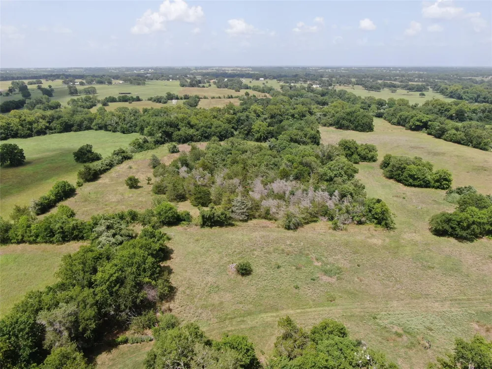 1399 Star Hill Road New Ulm, TX 78950