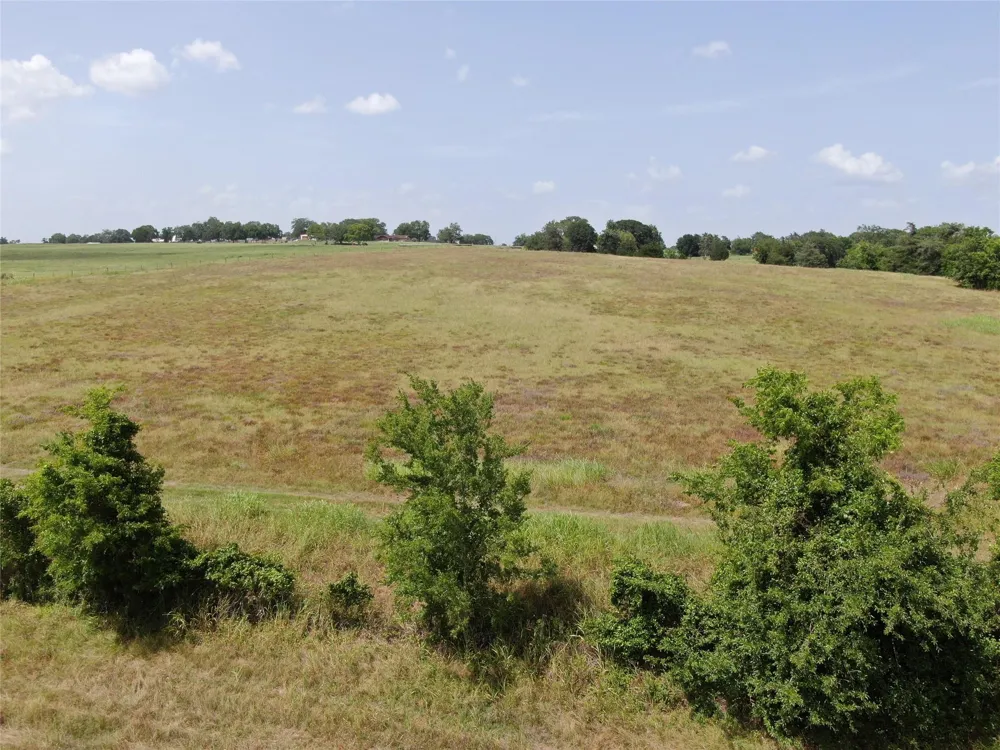 1399 Star Hill Road New Ulm, TX 78950