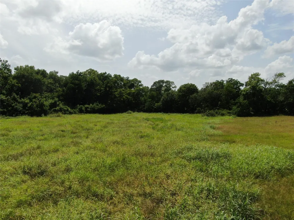 1399 Star Hill Road New Ulm, TX 78950