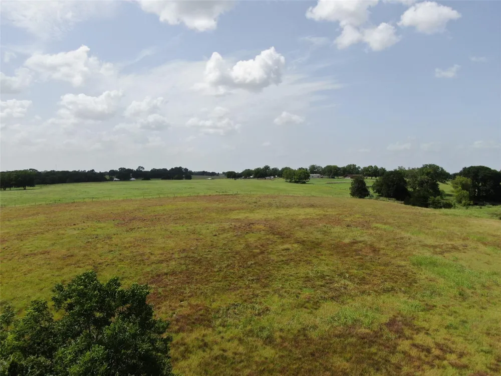 1399 Star Hill Road New Ulm, TX 78950