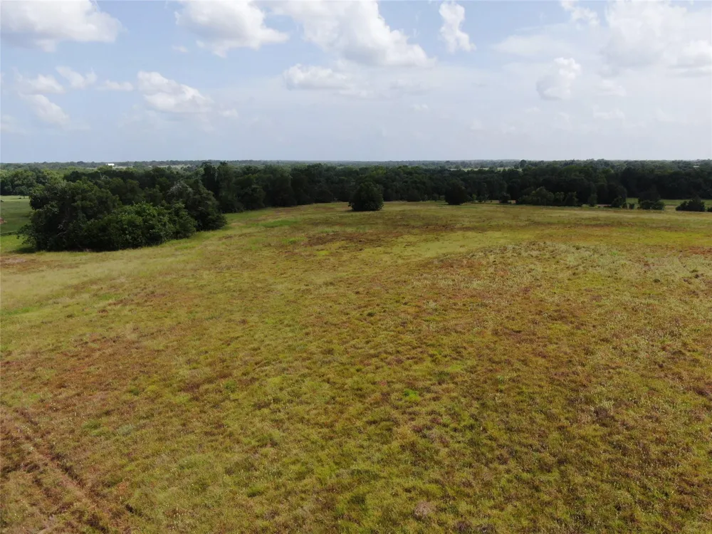 1399 Star Hill Road New Ulm, TX 78950