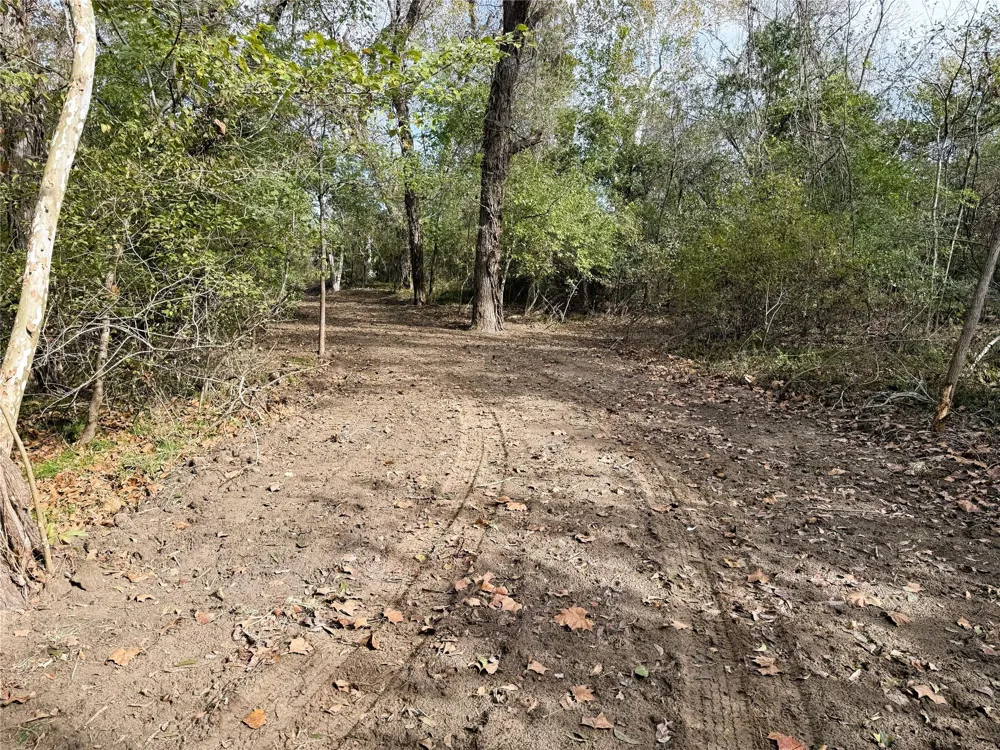 1399 Star Hill Road New Ulm, TX 78950
