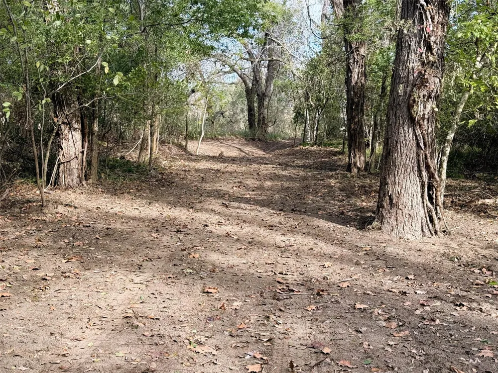 1399 Star Hill Road New Ulm, TX 78950