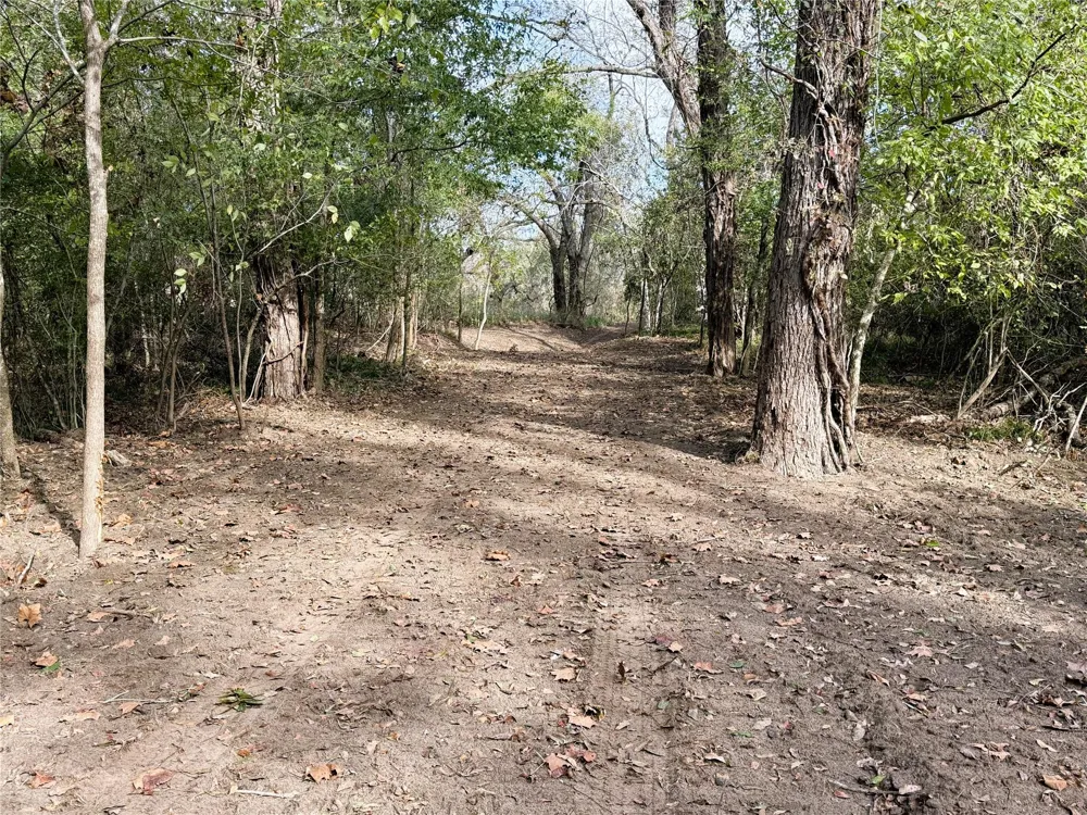 1399 Star Hill Road New Ulm, TX 78950