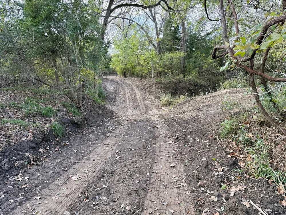 1399 Star Hill Road New Ulm, TX 78950