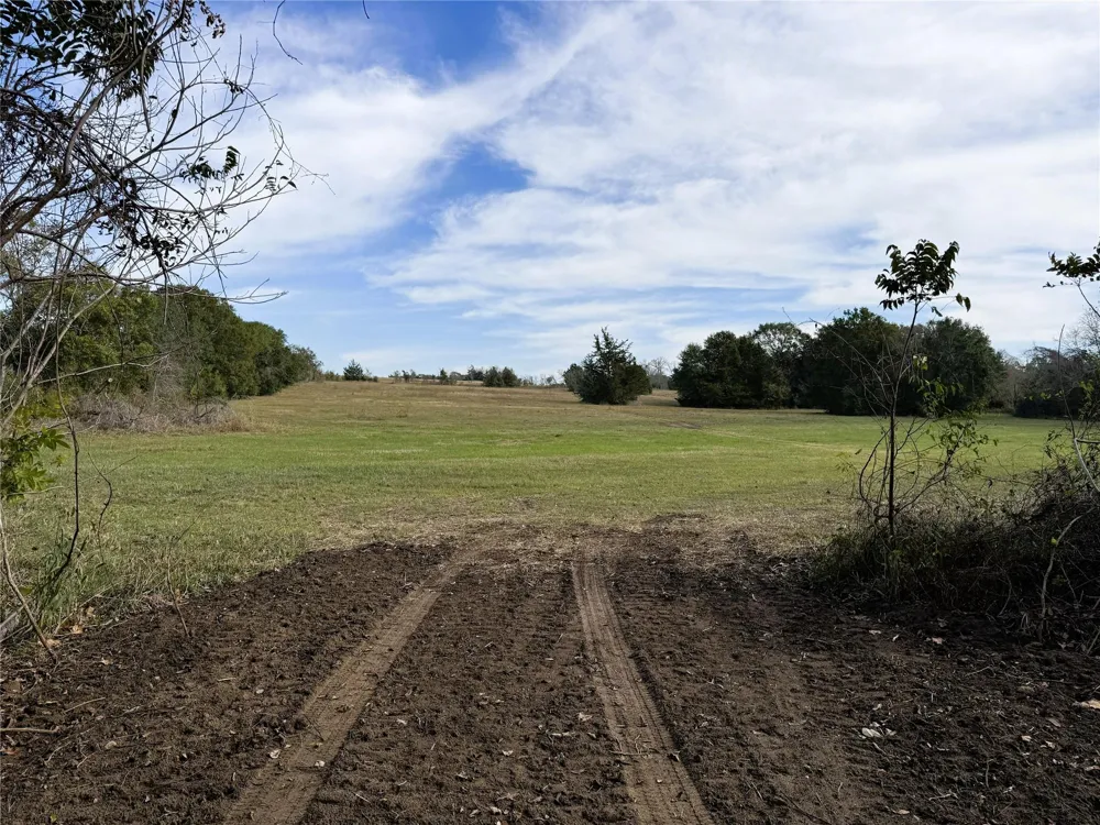 1399 Star Hill Road New Ulm, TX 78950