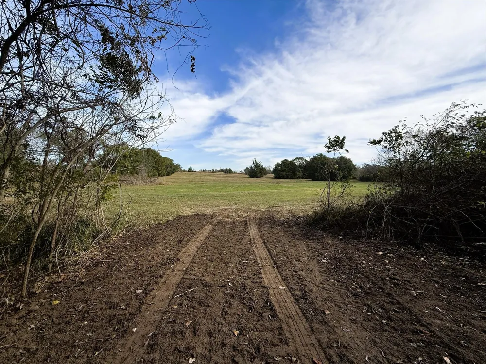 1399 Star Hill Road New Ulm, TX 78950