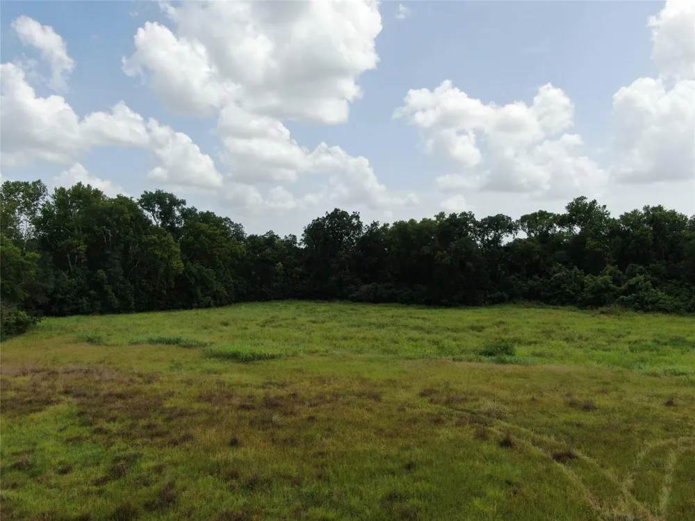 1399 Star Hill Road New Ulm, TX 78950