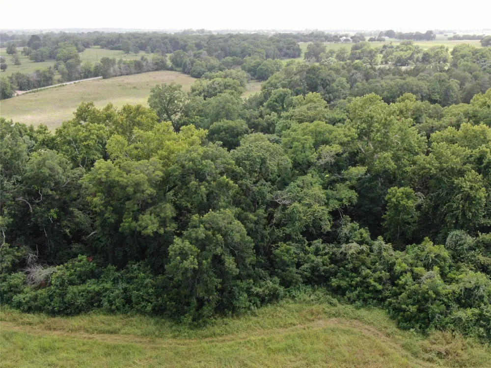 1399 Star Hill Road New Ulm, TX 78950