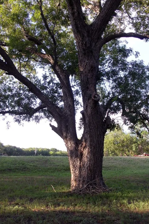 900 Old Lytton Springs Road Lockhart, TX 78644