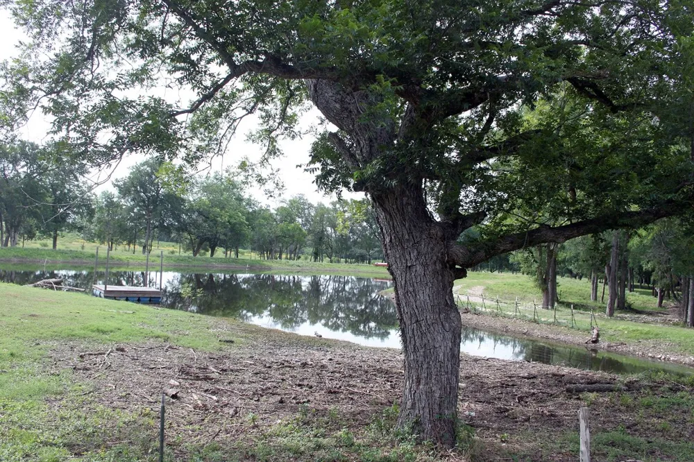 1000 Old Lytton Springs Road Lockhart, TX 78644