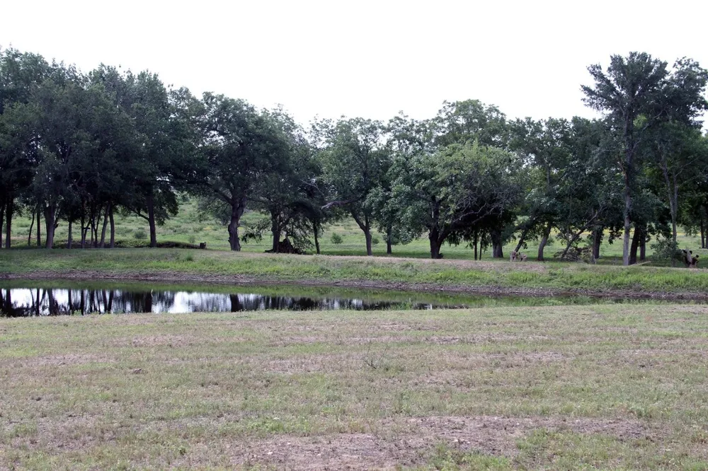 1000 Old Lytton Springs Road Lockhart, TX 78644