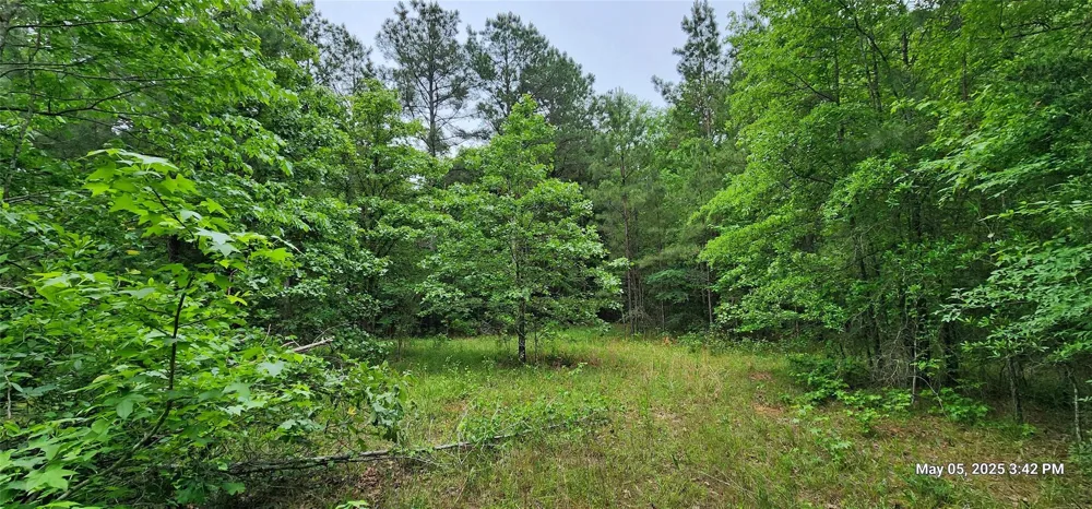 County Road 3230 Clarksville, TX 75426