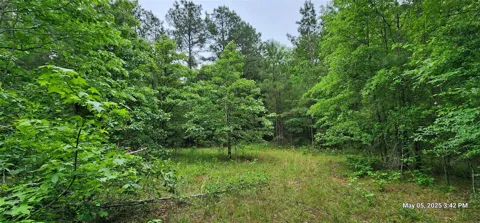 County Road 3230