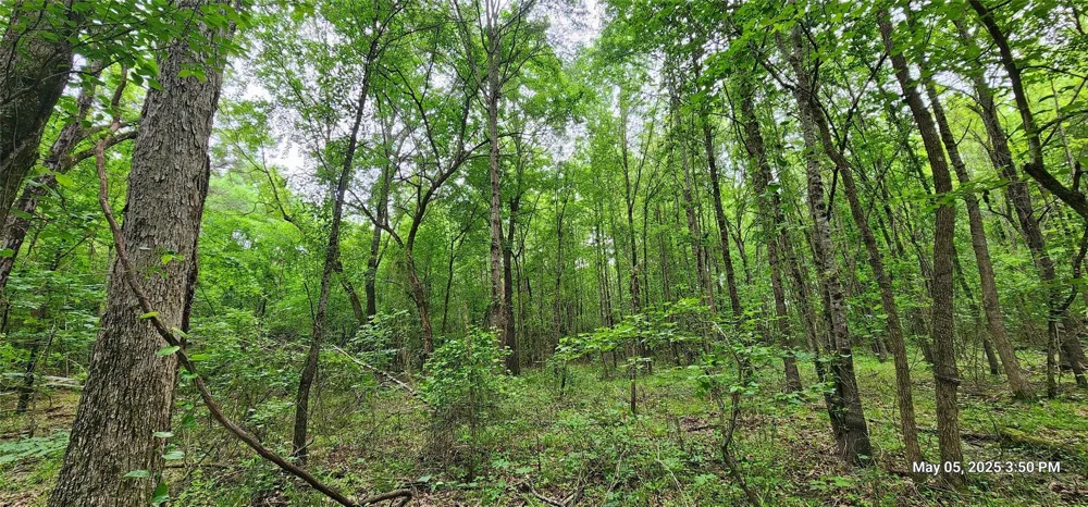 County Road 3230 Clarksville, TX 75426