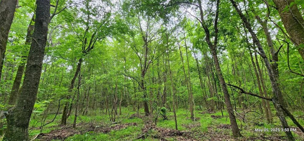 County Road 3230 Clarksville, TX 75426