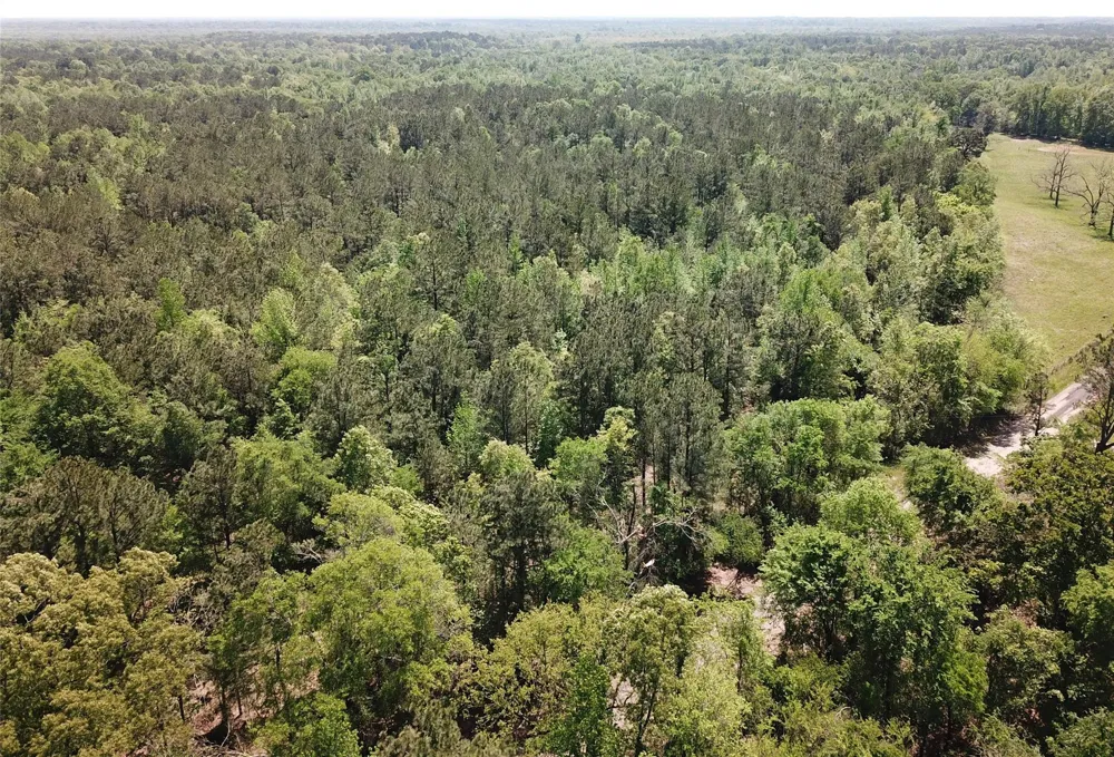 County Road 3230 Clarksville, TX 75426