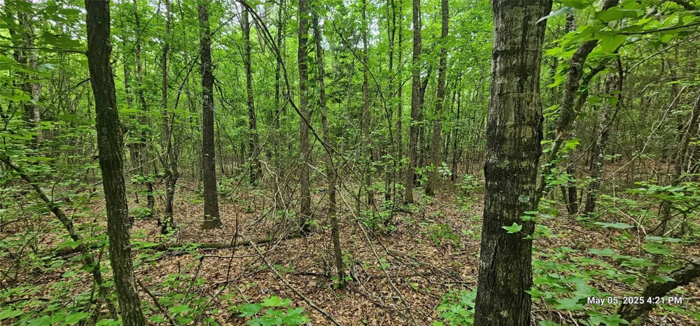 County Road 3230 Clarksville, TX 75426