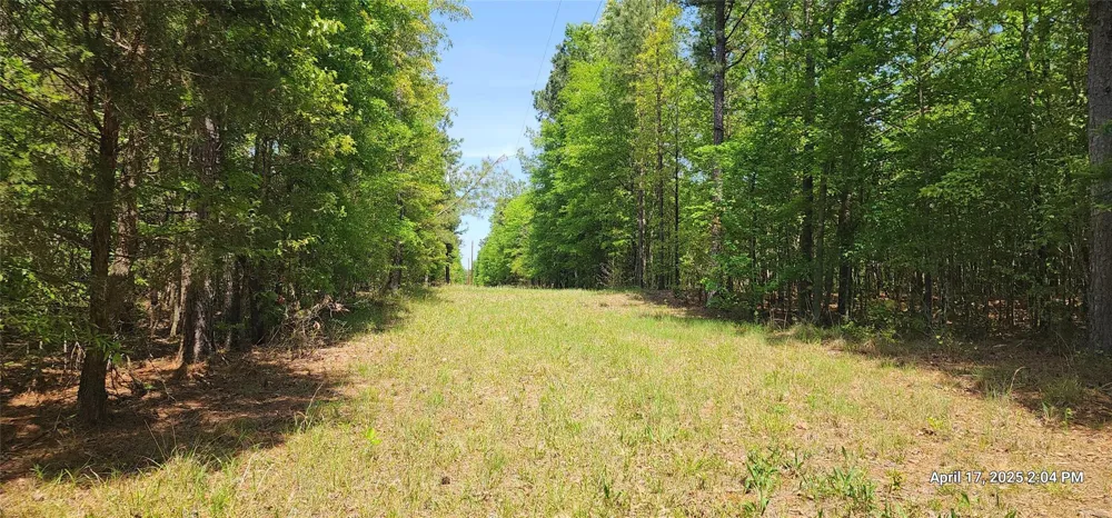 County Road 3230 Clarksville, TX 75426