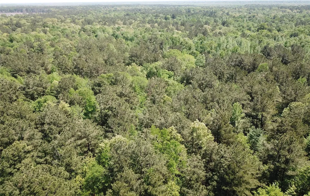 County Road 3230 Clarksville, TX 75426