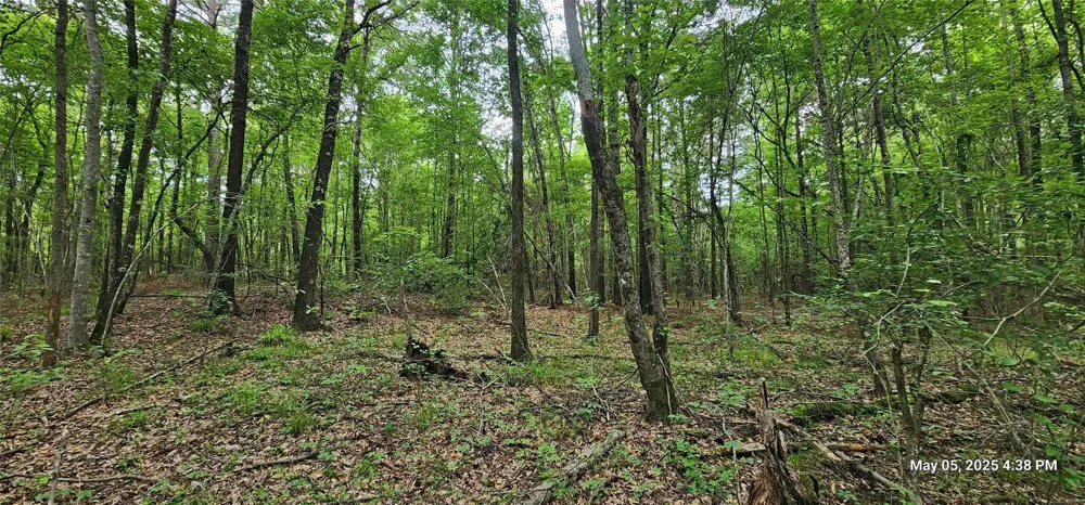 County Road 3230 Clarksville, TX 75426