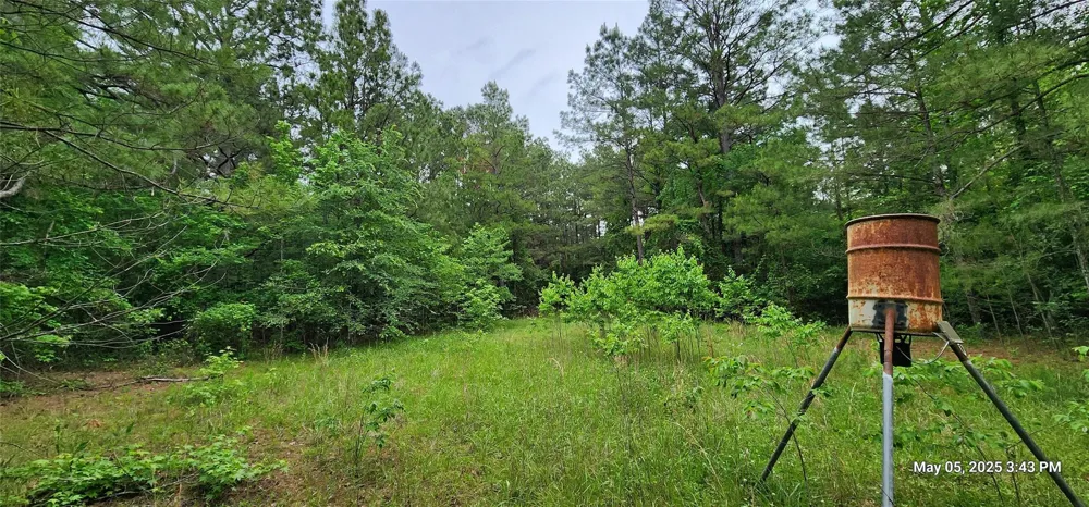 County Road 3230 Clarksville, TX 75426