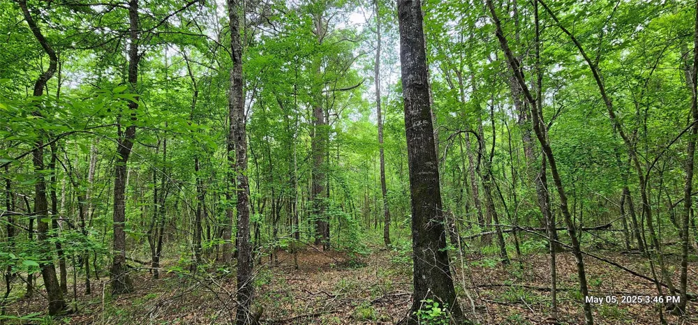County Road 3230 Clarksville, TX 75426