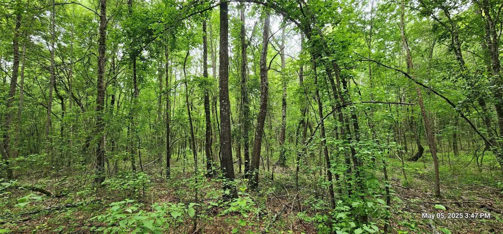 County Road 3230 Clarksville, TX 75426
