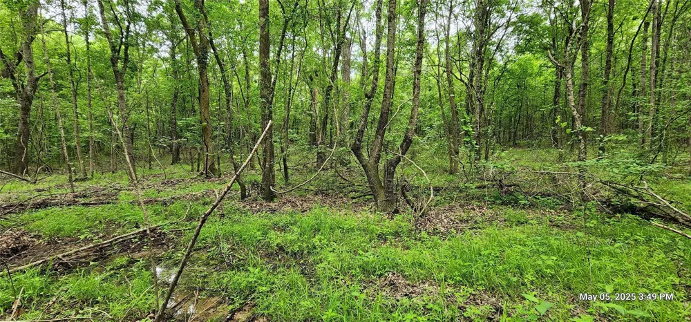 County Road 3230 Clarksville, TX 75426
