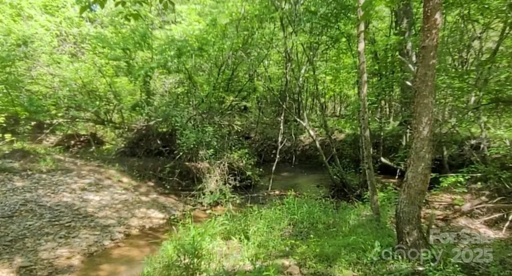 0 Big Level Road Mill Spring, NC 28756