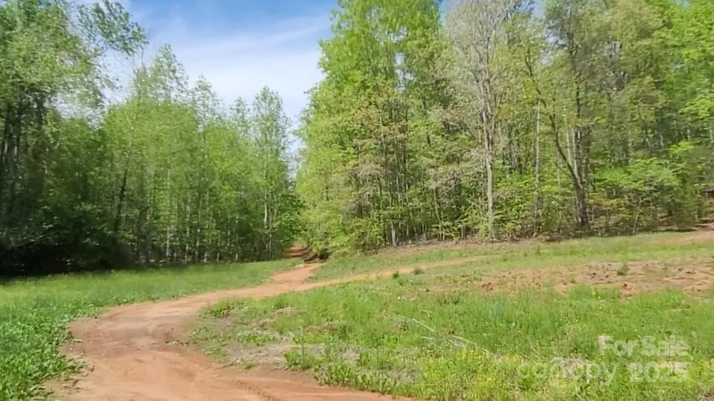 0 Big Level Road Mill Spring, NC 28756