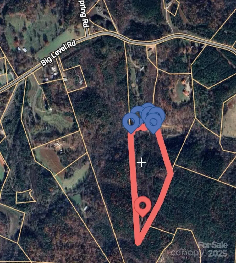 0 Big Level Road Mill Spring, NC 28756
