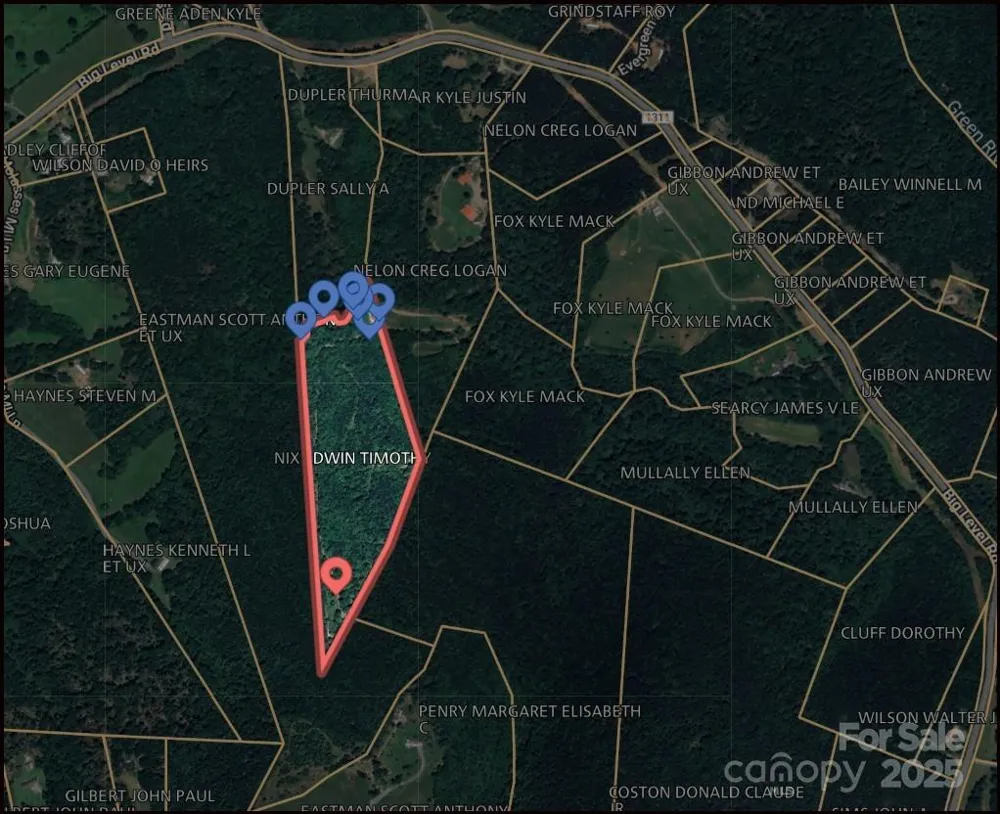 0 Big Level Road Mill Spring, NC 28756