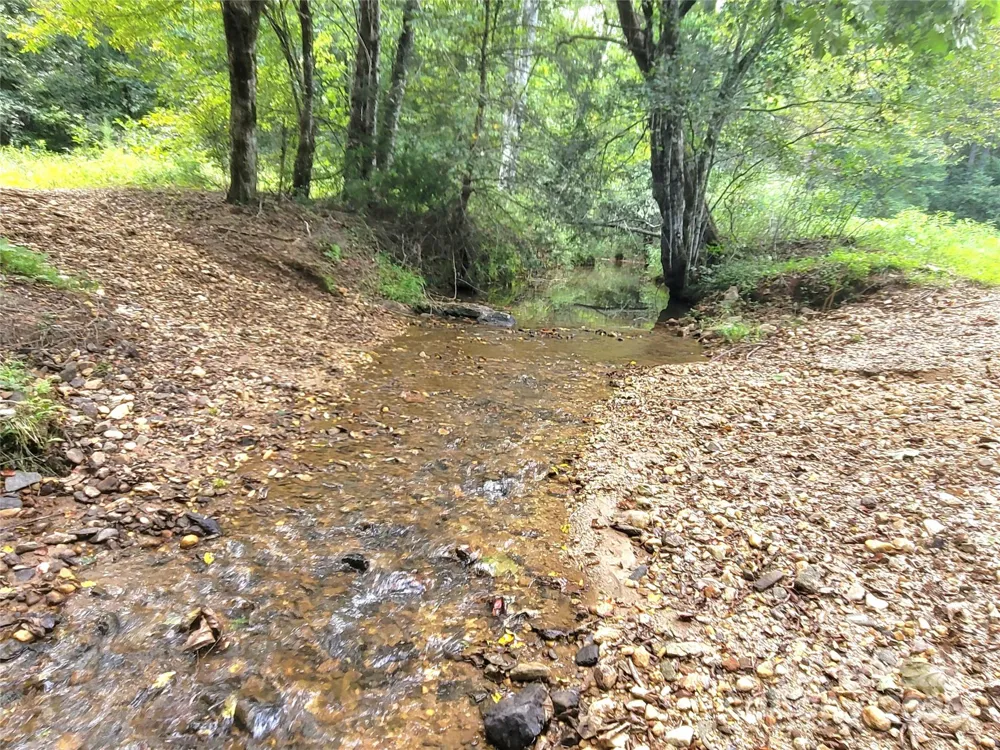 0 Big Level Road Mill Spring, NC 28756