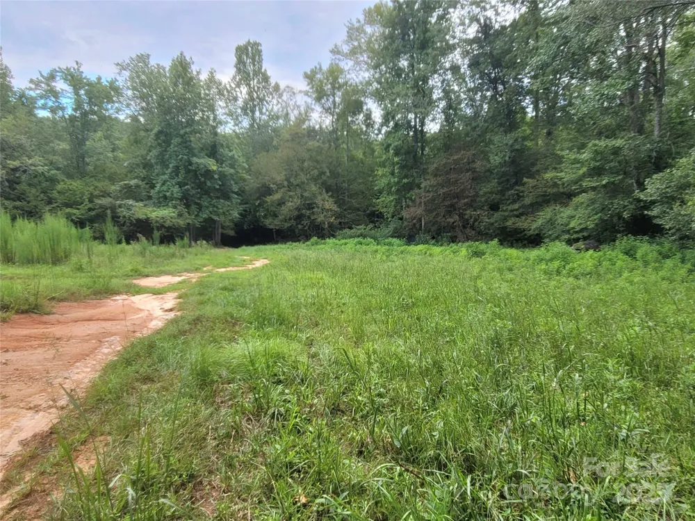 0 Big Level Road Mill Spring, NC 28756