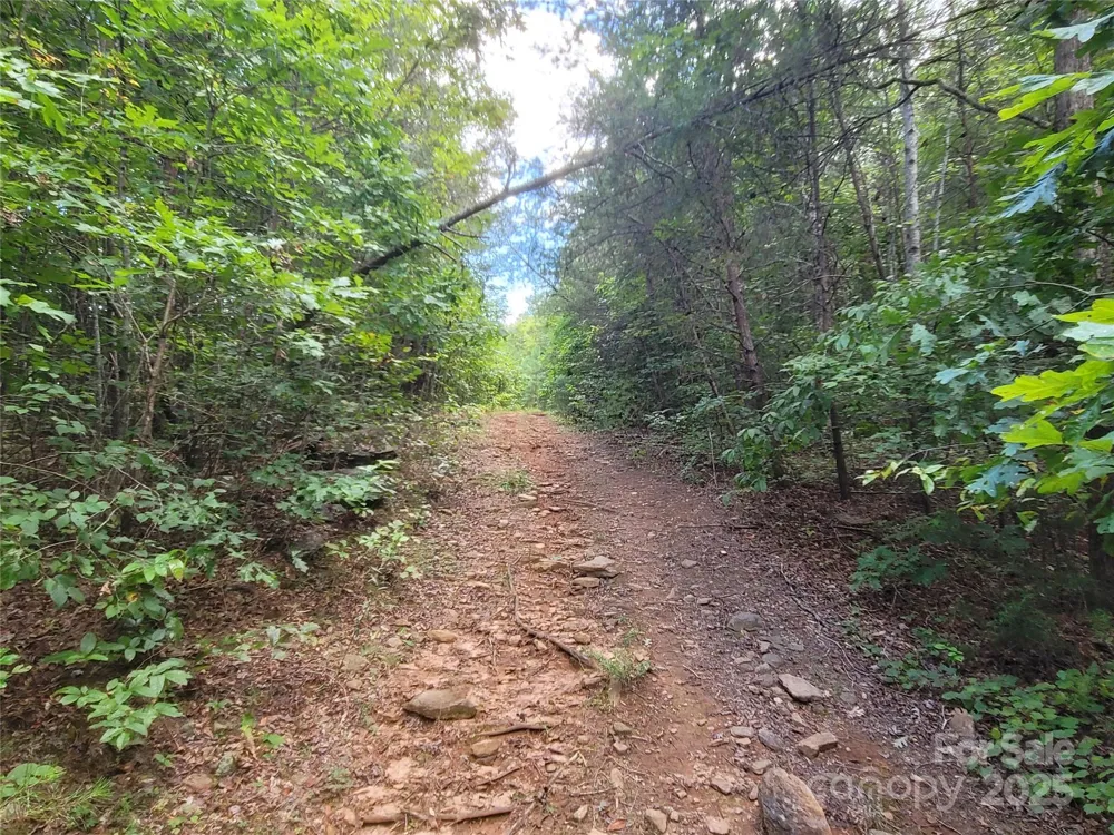 0 Big Level Road Mill Spring, NC 28756