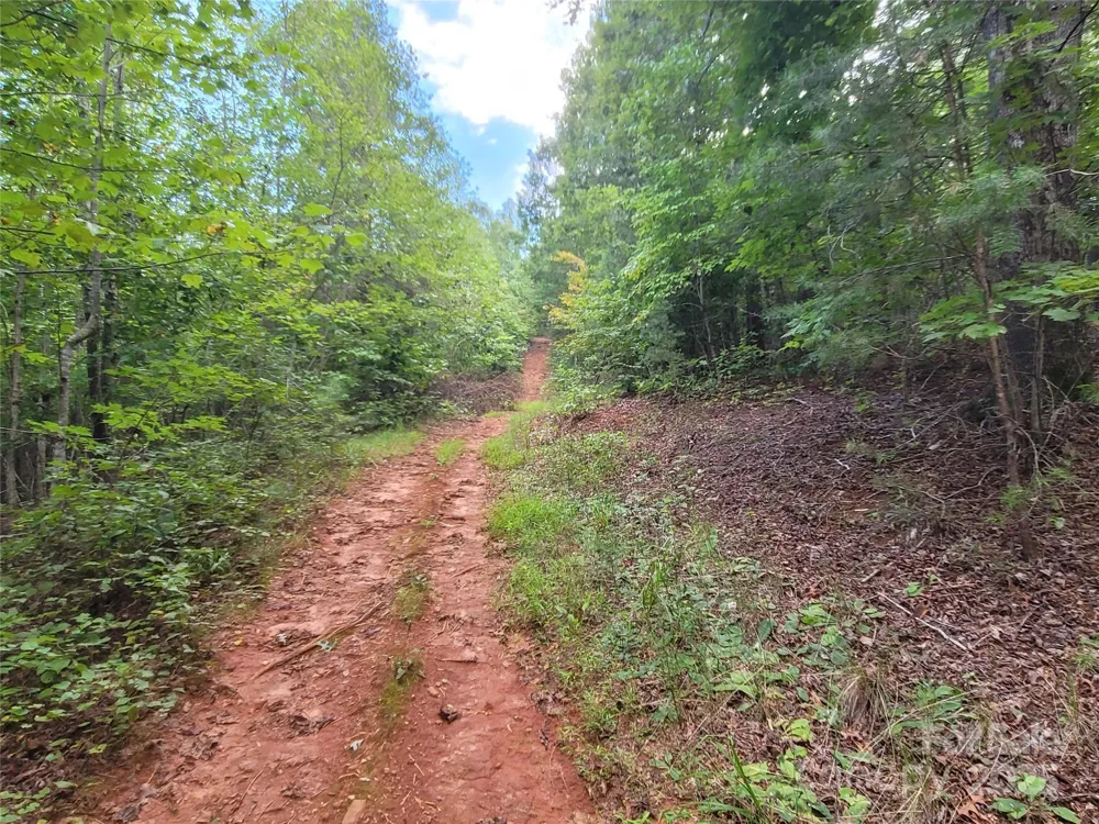 0 Big Level Road Mill Spring, NC 28756