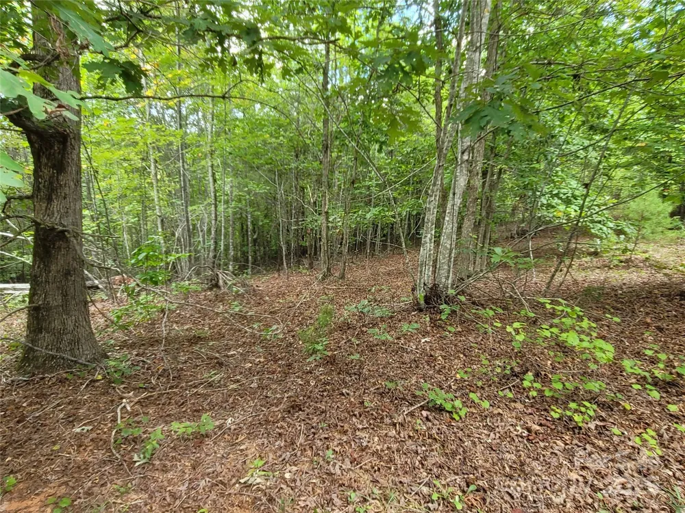 0 Big Level Road Mill Spring, NC 28756